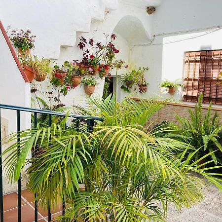 Apartamento Conil Centro 콘일데라프론테라 외부 사진