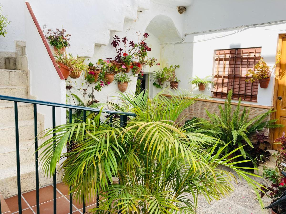 Apartamento Conil Centro 콘일데라프론테라 외부 사진